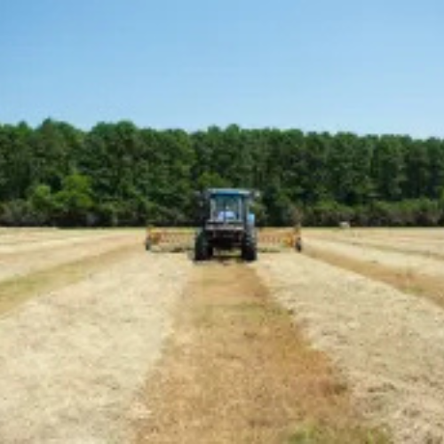 A tractor bailing hay.