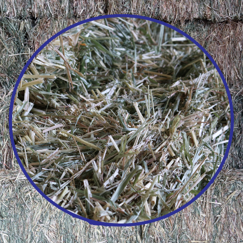 A close-up of a sudan bale.
