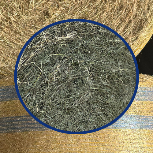 A close-up of a round bale.
