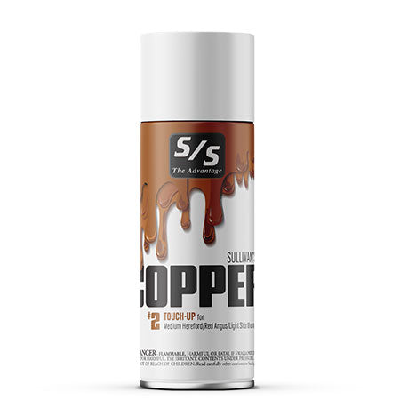 TOUCH UP PAINT
